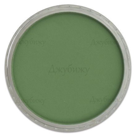 PanPastel пастель зелёный Permanent тёмный 9 мл (Shades​​)