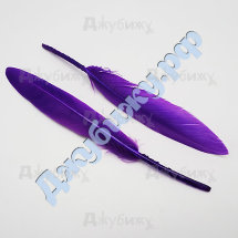 Перо гусиное окрашенное фиолетовое, 10~15 см